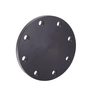 3" Blank Flange PN16/8(105) 3" BS4504