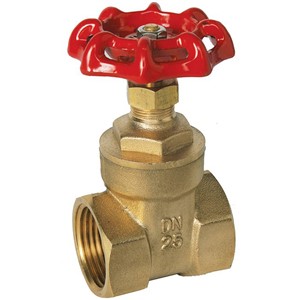 TGL 2" Gate Valve PN20 W/H Brass 610